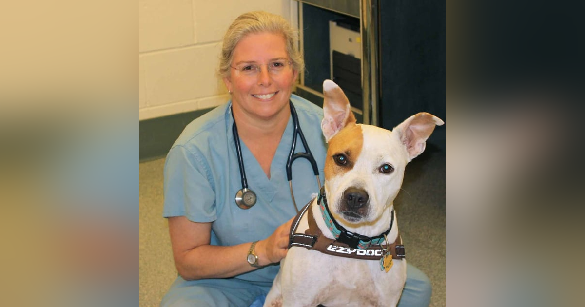 1243. Should You Trust Pet DNA Tests? 1243. Should You Trust Pet DNA Tests?