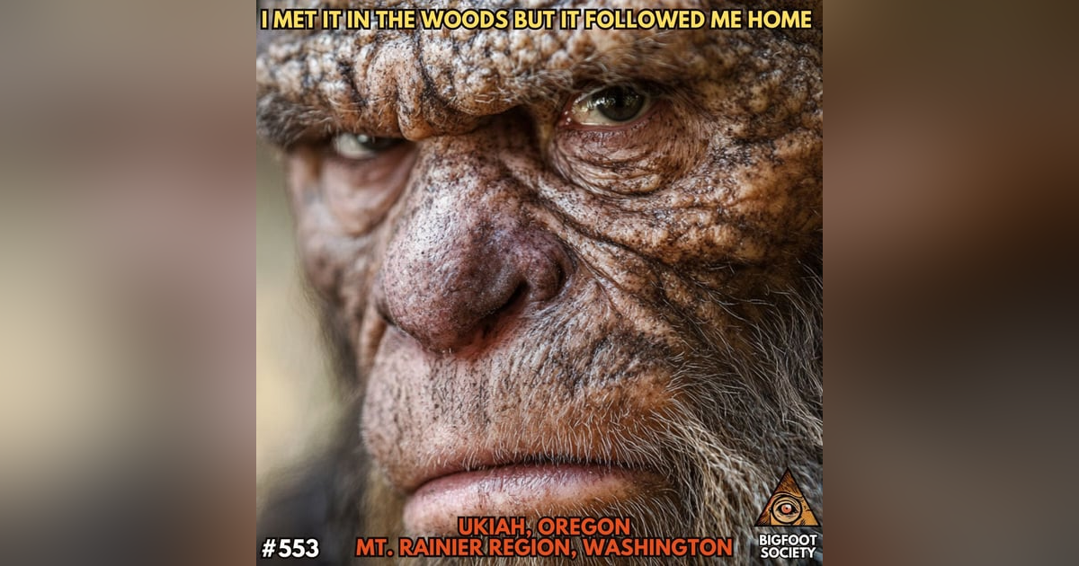 It Follows. It Follows.