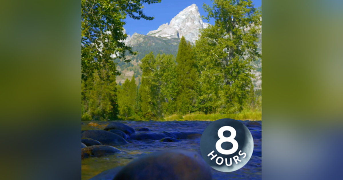 Mountain Stream Water Sounds for Relaxation, Studying or Sleeping | White Noise 8 Hours Mountain Stream Water Sounds for Relaxation, Studying or Sleeping | White Noise 8 Hours