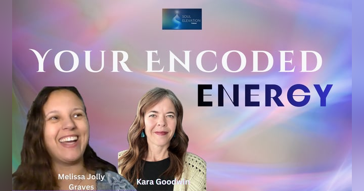 image for Telepathy Among Non-Verbal People, Energy Coding & Consciousness Science with Melissa Jolly Graves