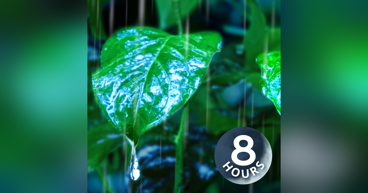 White Noise of Heavy Rain Lulls You To Sleep | 8 Hours White Noise of Heavy Rain Lulls You To Sleep | 8 Hours