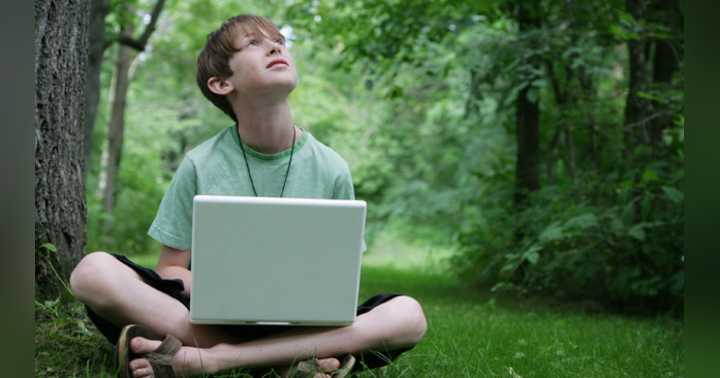 image for Your Element – The Genie in Us (genius) by Terri Novacek