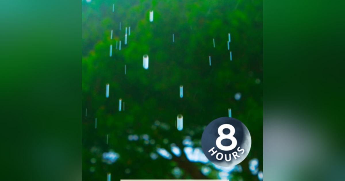 Relaxing Summer Rain Sounds for Sleep & Stress Relief (8 Hours) Relaxing Summer Rain Sounds for Sleep & Stress Relief (8 Hours)