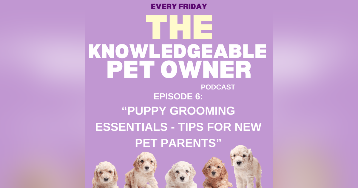 Puppy Grooming Essentials - Tips for New Pet Parents Puppy Grooming Essentials - Tips for New Pet Parents