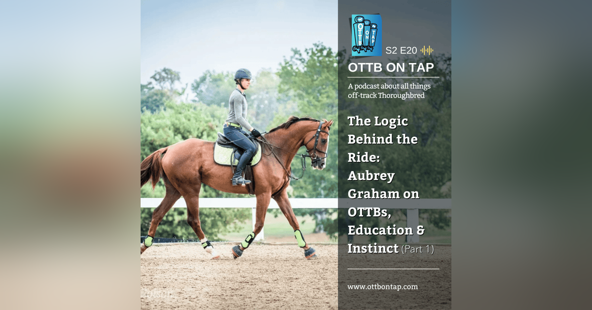 S2 E20: The Logic Behind the Ride — Aubrey Graham on OTTBs, Education & Instinct (Part 1) S2 E20: The Logic Behind the Ride — Aubrey Graham on OTTBs, Education & Instinct (Part 1)