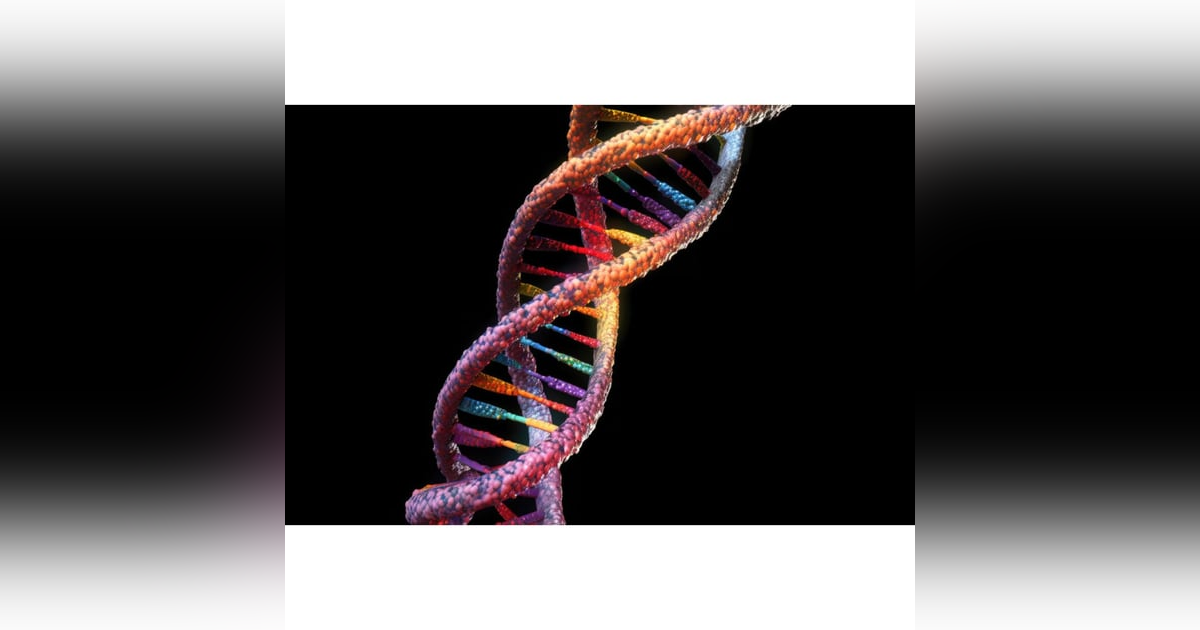 12-Strand DNA Activation 12-Strand DNA Activation