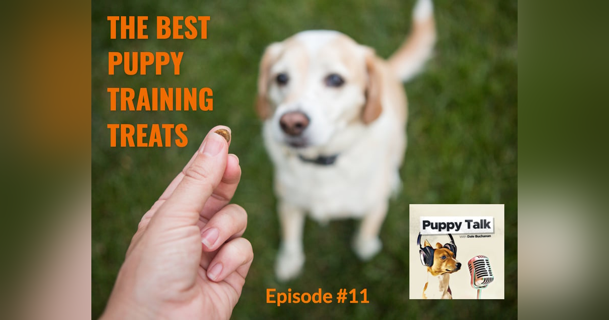 The Best Puppy Training Treats The Best Puppy Training Treats