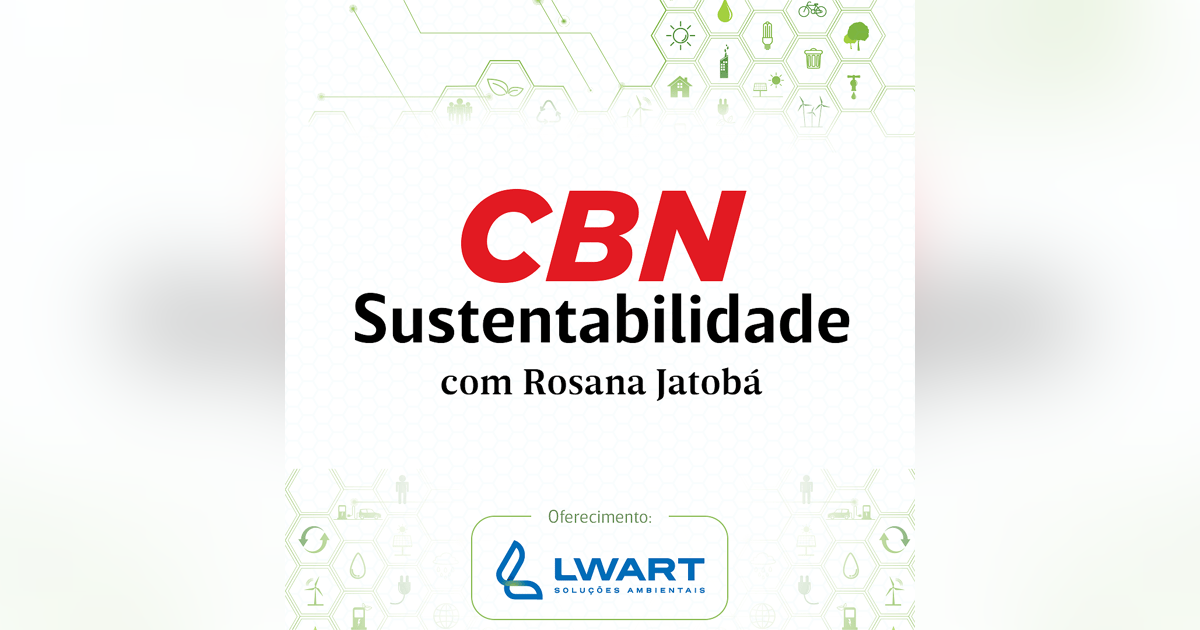 'Poluição do ar rouba 8 meses e meio de vida dos seres humanos' 'Poluição do ar rouba 8 meses e meio de vida dos seres humanos'