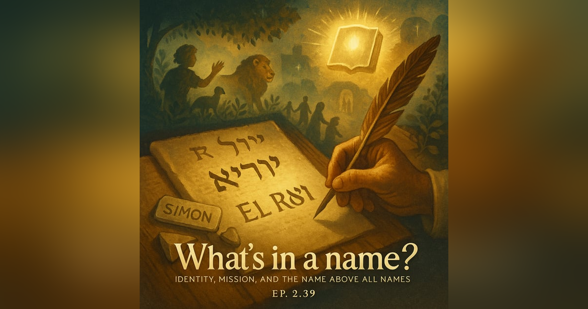 What’s in a Name? What’s in a Name?