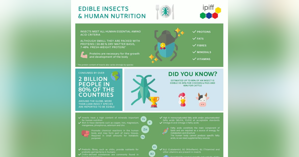 222: Why Eat Insects? 222: Why Eat Insects?