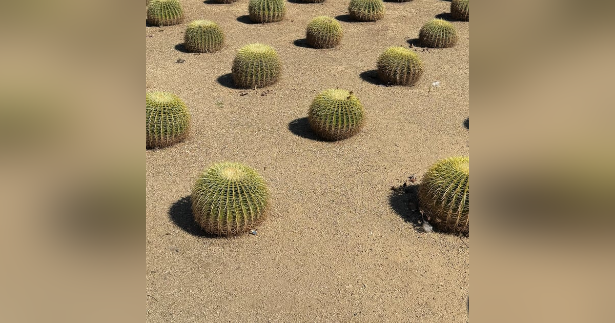 Organization Organization