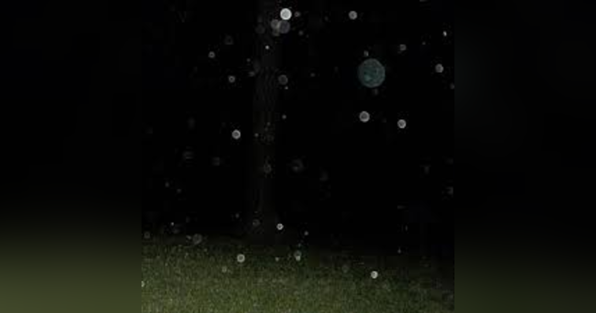 BEST OF (#22 of 465) ORBS:: A 'SPIRIT' ED DEBATE & ONE OF NATURE'S GREATEST UNSOLVED MYSTERIES BEST OF (#22 of 465) ORBS:: A 'SPIRIT' ED DEBATE & ONE OF NATURE'S GREATEST UNSOLVED MYSTERIES