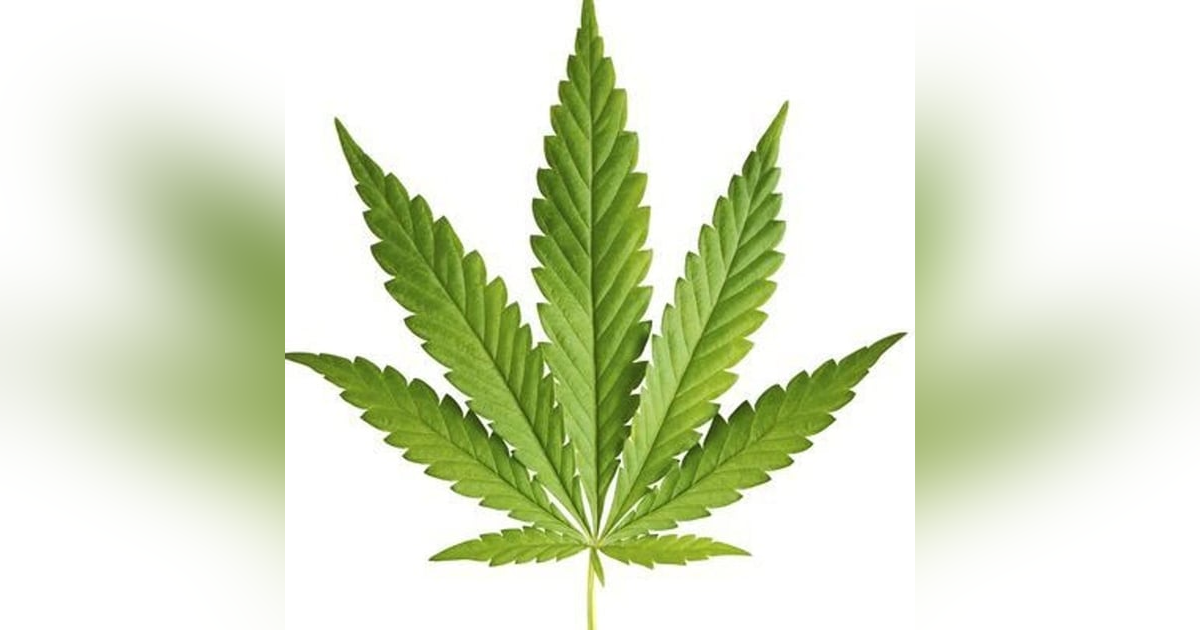 13 Folds Radio #35 13 Folds Radio #35