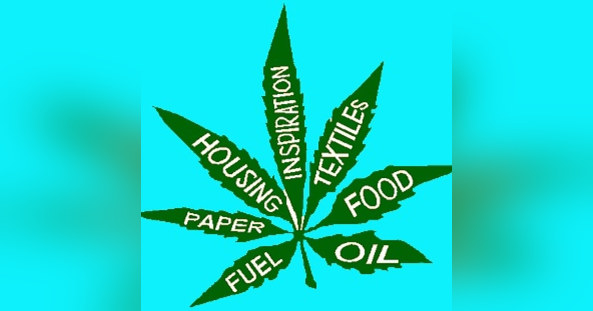 13 Folds Radio #4 LIVE 13 Folds Radio #4 LIVE