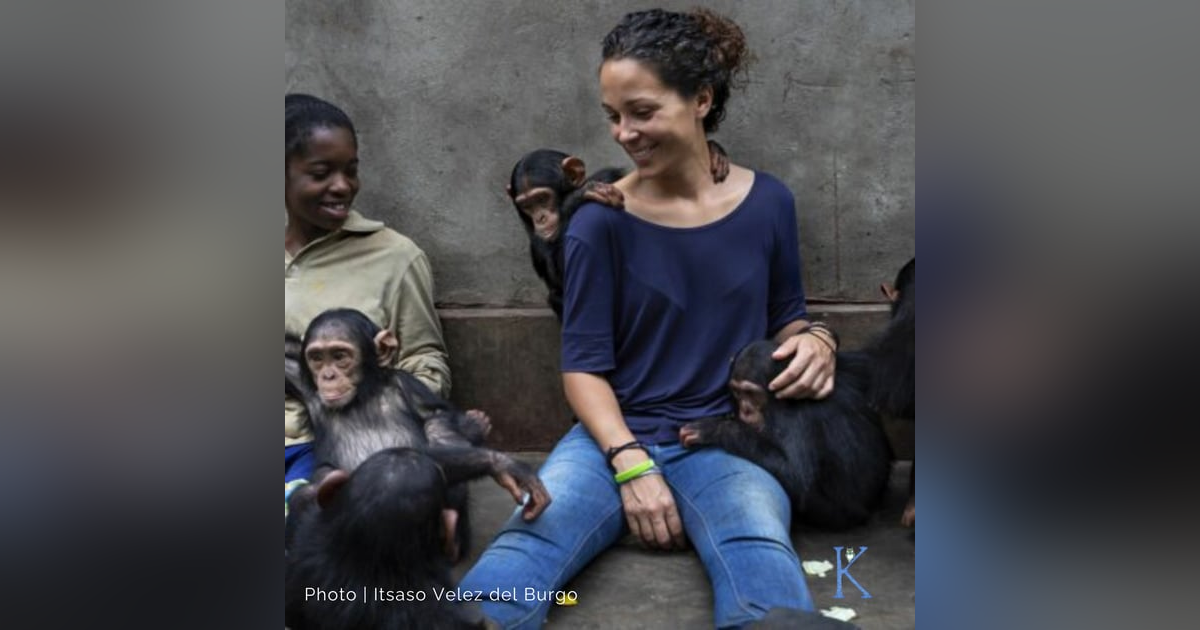 Encore: 23. A Second Chance: Saving Chimpanzees in DR Congo | A Conversation with Itsaso Velez del Burgo, Primatologist and Technical Director for Lwiro Primate Rehabilitation Center Encore: 23. A Second Chance: Saving Chimpanzees in DR Congo | A Conversation with Itsaso Velez del Burgo, Primatologist and Technical Director for Lwiro Primate Rehabilitation Center