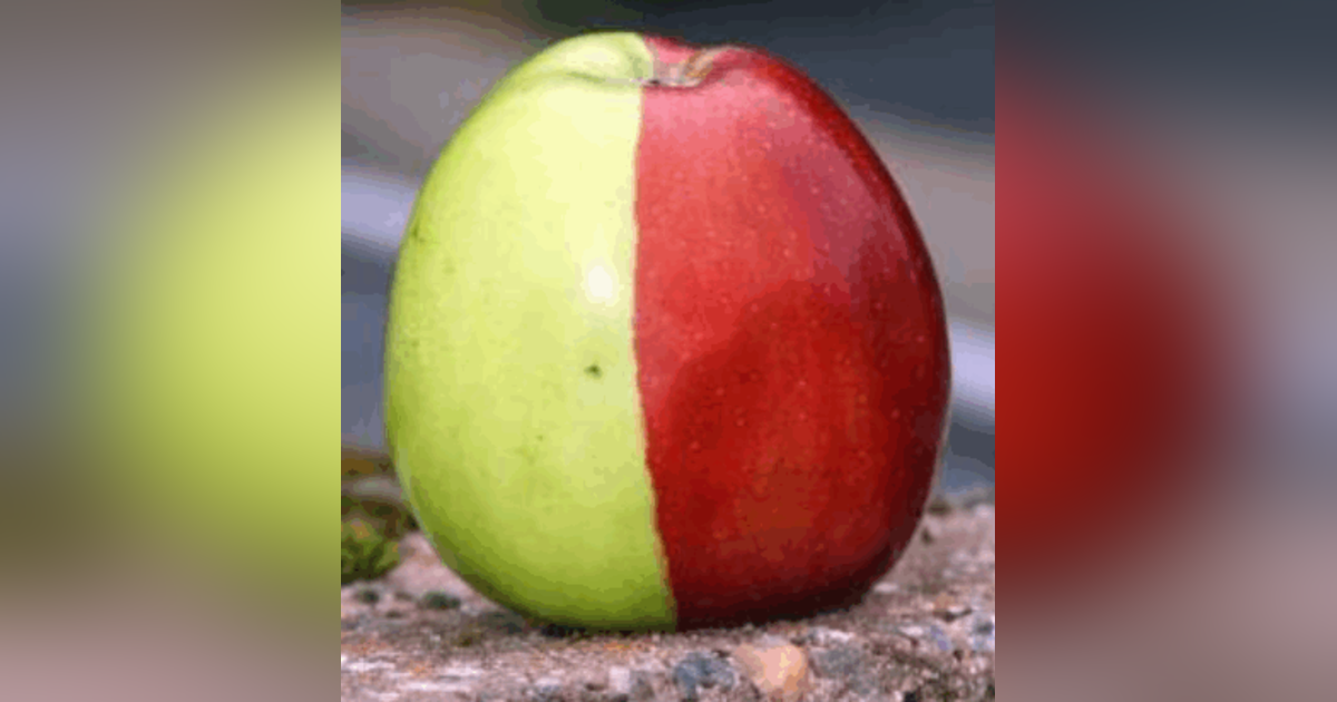 S2E18 Red World Green World S2E18 Red World Green World