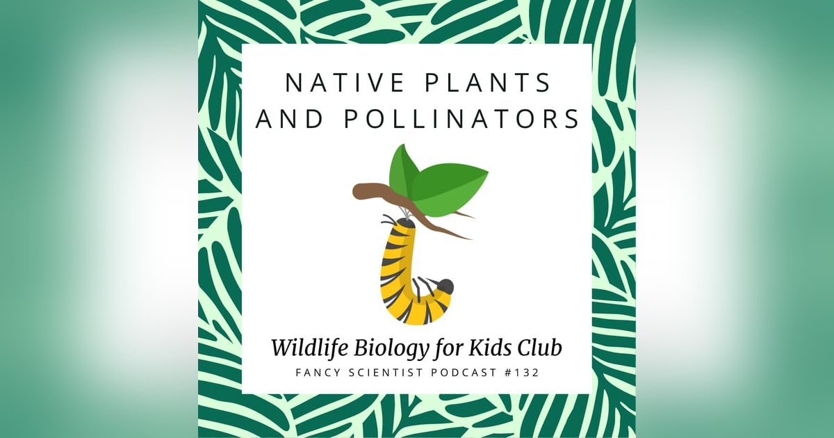 Native Plants and Pollinators | Wildlife Biology for Kids Club Native Plants and Pollinators | Wildlife Biology for Kids Club