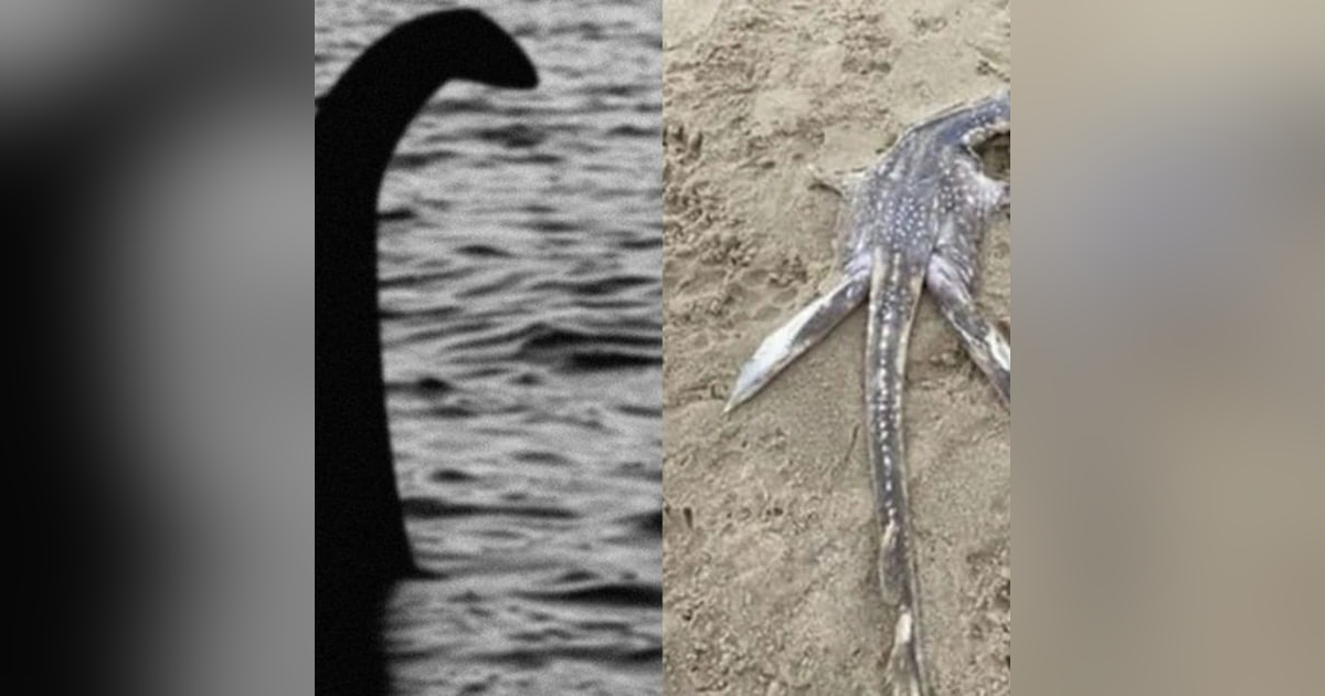 #183 Lago Ness | Los Secretos de la Escurridiza Nessie #183 Lago Ness | Los Secretos de la Escurridiza Nessie