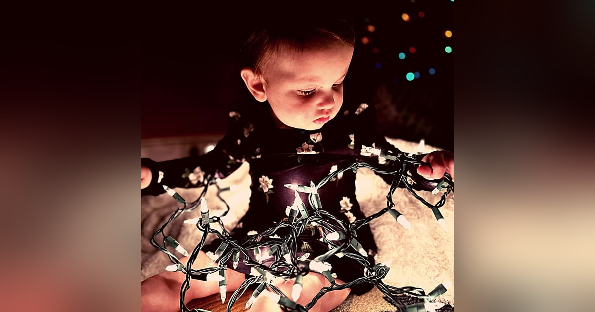 A Very Foxie Christmas! A Very Foxie Christmas!