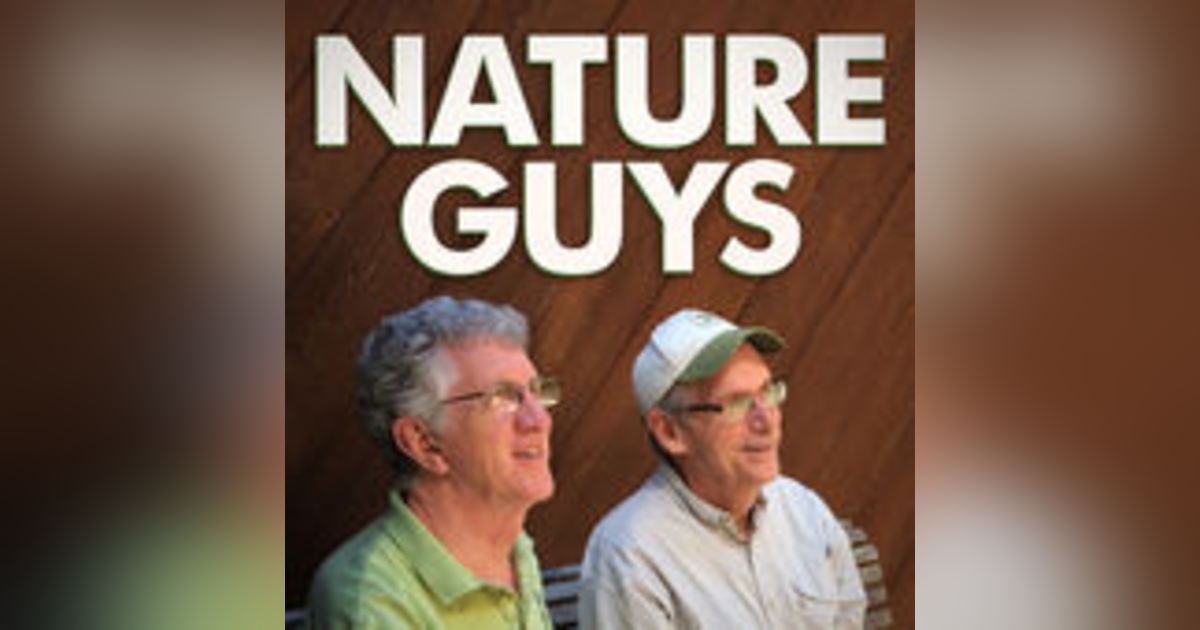 Bob Staggenborg - Nature Guys Bob Staggenborg - Nature Guys