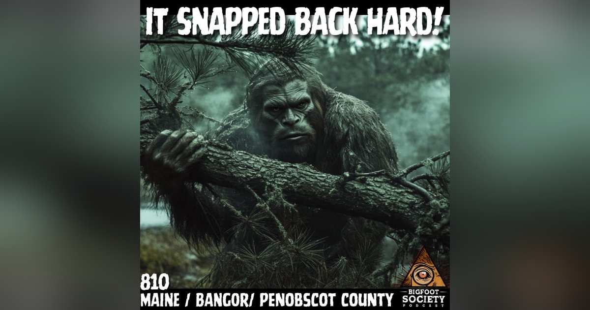 The Sasquatch That Snapped Back in Bangor! The Sasquatch That Snapped Back in Bangor!