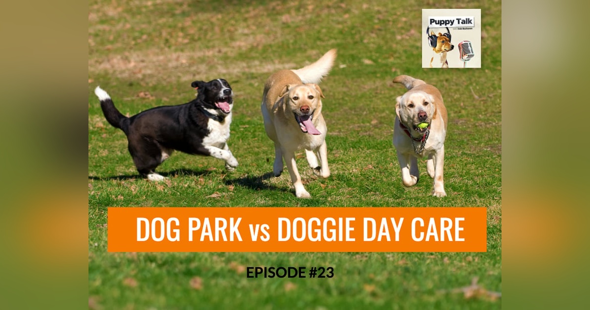 Dog Parks vs Doggie Day Care Dog Parks vs Doggie Day Care