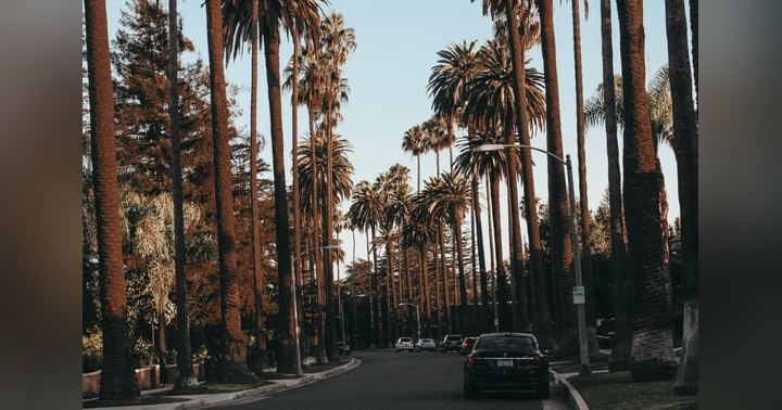 image for The Beverly Hillbillies and the American Dream