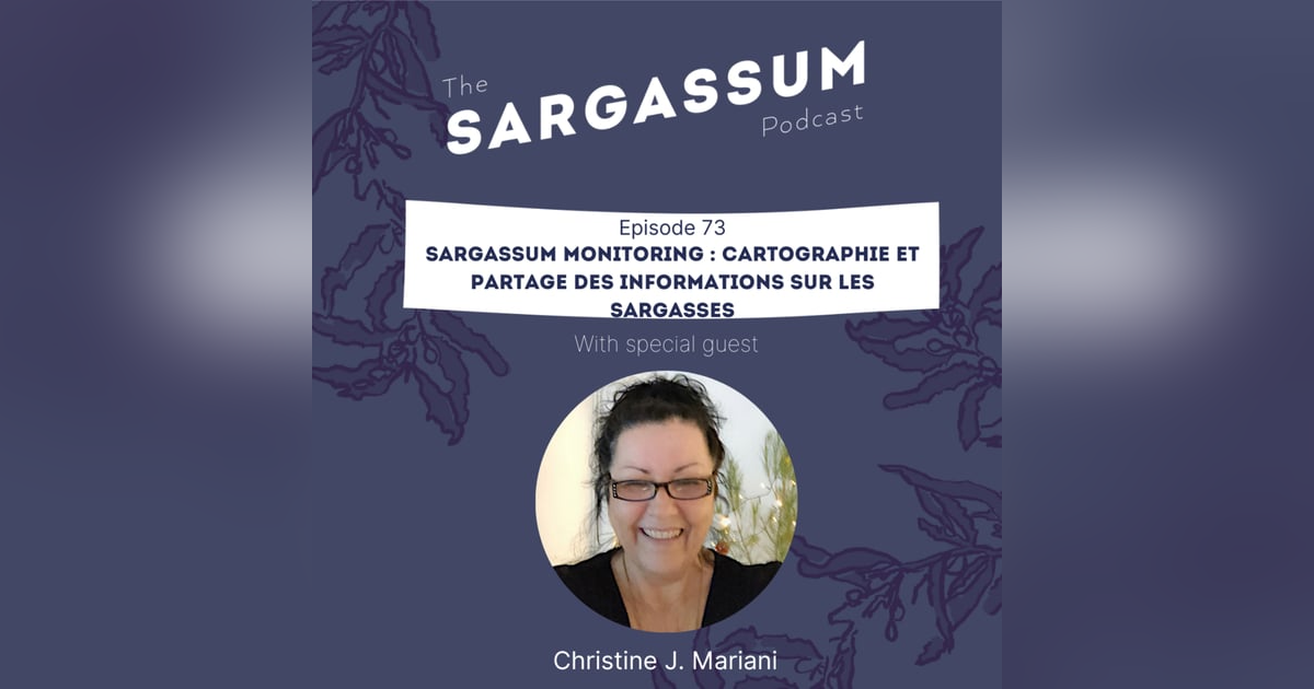 E73 Sargassum monitoring : cartographie et partage des informations sur les sargasses E73 Sargassum monitoring : cartographie et partage des informations sur les sargasses