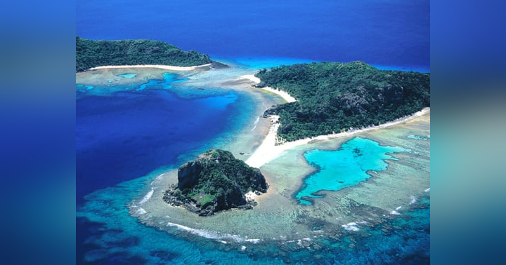 image for Sherwood Schwartz: Television Visionary