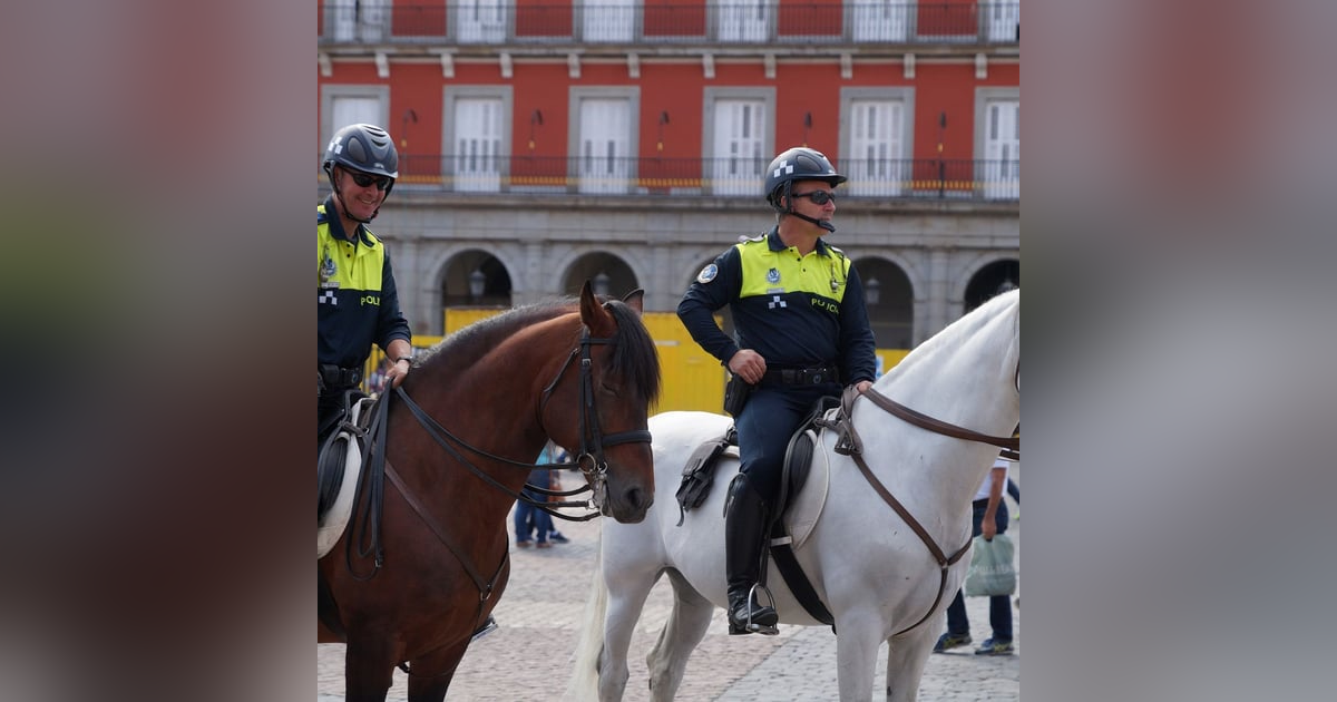 La República de los Tonnntos: La "propuesta" del PSOE de poner pañales a los caballos La República de los Tonnntos: La "propuesta" del PSOE de poner pañales a los caballos