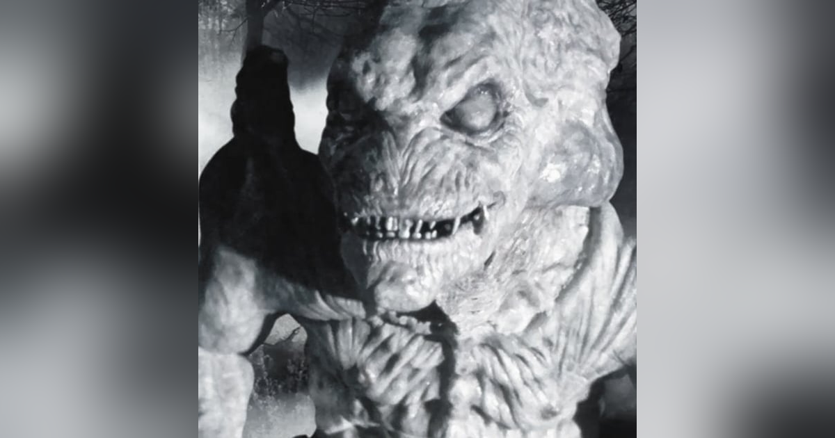 Nos Encontramos Con Un Gato Emplumado Historias De Terror - REDE Nos Encontramos Con Un Gato Emplumado Historias De Terror - REDE