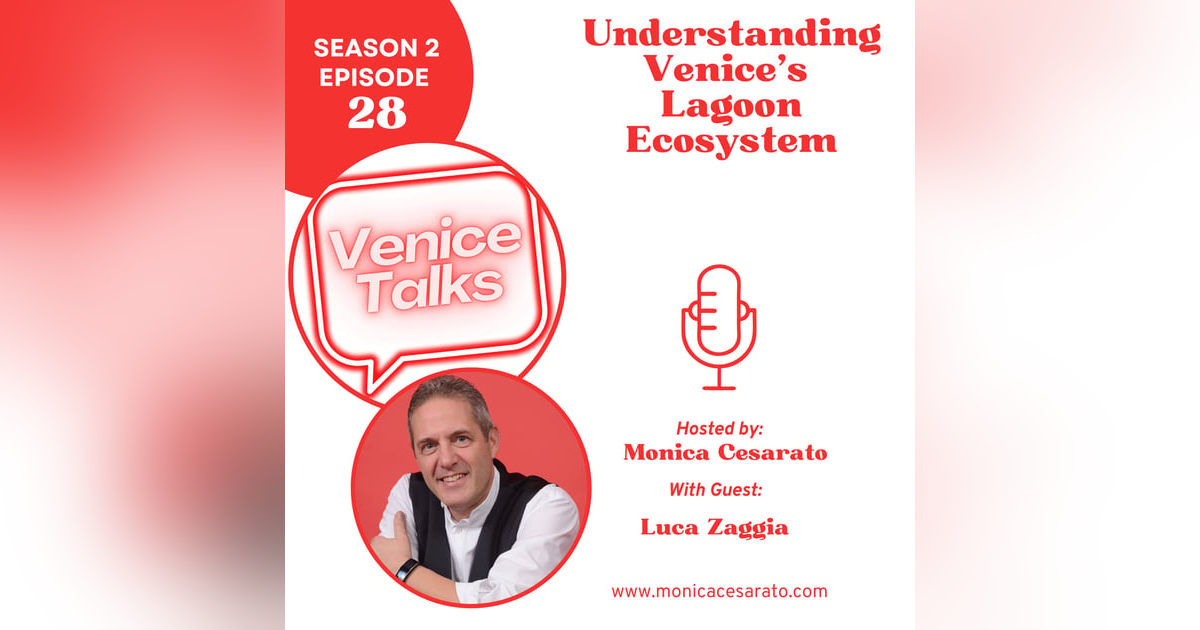 S2 Ep.28 - Challenges Facing Venice's Lagoon: Insights from a Leading Researcher S2 Ep.28 - Challenges Facing Venice's Lagoon: Insights from a Leading Researcher