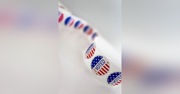 image for 2022 November Election