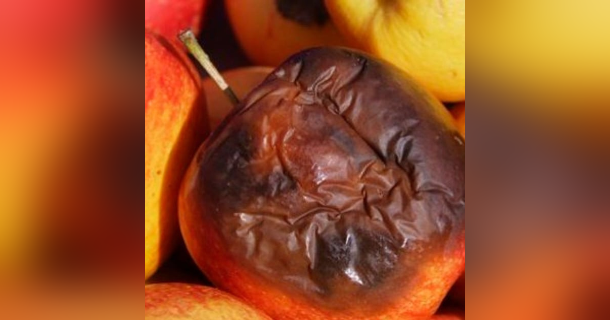 Historias de Miedo Julio 13 de 2022 COSAS PODRIDAS Historias de Miedo Julio 13 de 2022 COSAS PODRIDAS