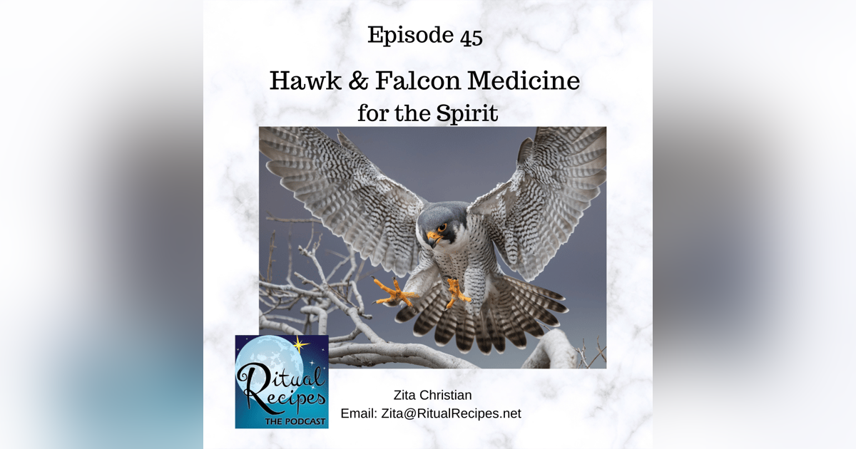 Spiritual Medicine of the Hawk and Falcon Spiritual Medicine of the Hawk and Falcon