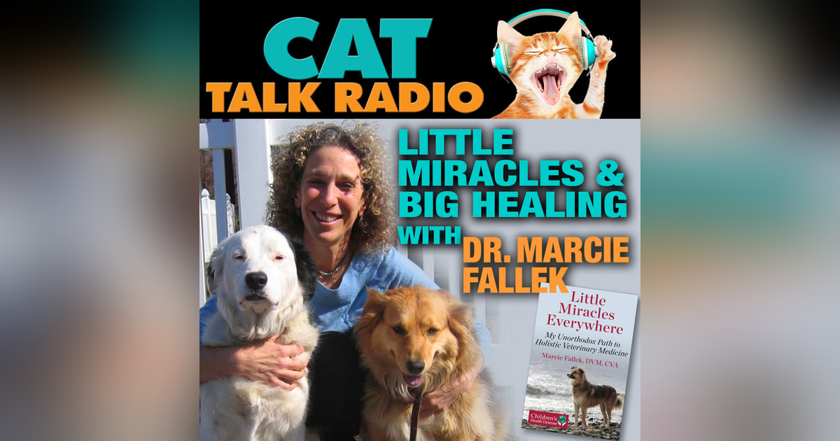 Little Miracles & Big Healing: A Conversation with Dr. Marcie Fallek Little Miracles & Big Healing: A Conversation with Dr. Marcie Fallek