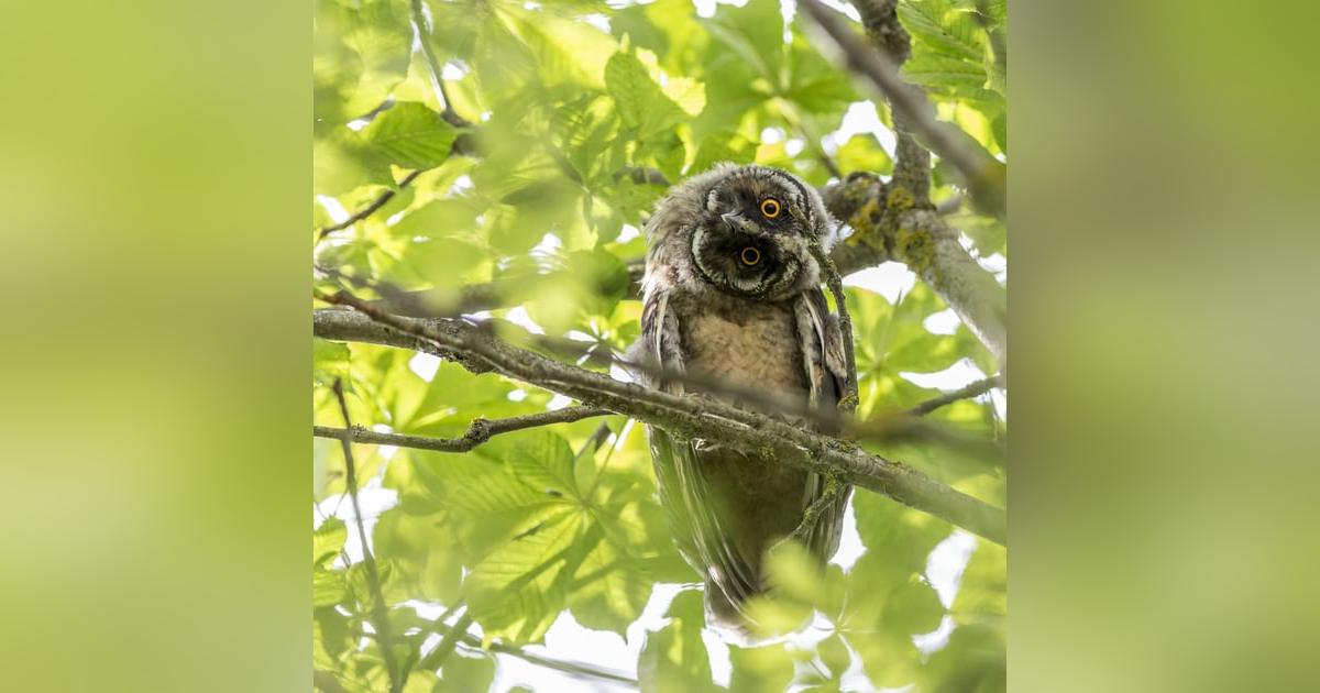 #112 Heart Chakra, Frequency 639 Hz - 432 Hz(Yoga, Calming activity, Studying, awareness, alertness) #112 Heart Chakra, Frequency 639 Hz - 432 Hz(Yoga, Calming activity, Studying, awareness, alertness)