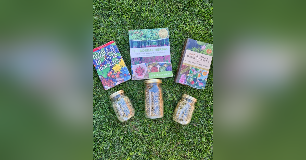 Ep 15- FORAGING the Northern Rockies (Feat. Scott Sunderwald) Ep 15- FORAGING the Northern Rockies (Feat. Scott Sunderwald)