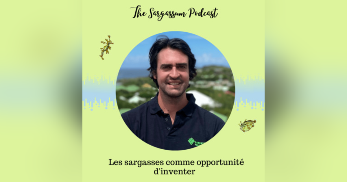 Ep.24: Les avantages du papier réalisé en sargasses avec Pierre-Antoine Guibout Ep.24: Les avantages du papier réalisé en sargasses avec Pierre-Antoine Guibout