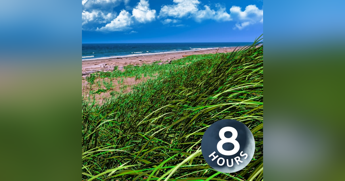 Ocean Waves and Gentle Breeze 8 Hours | Listen To Calm Your Mind & Relax Ocean Waves and Gentle Breeze 8 Hours | Listen To Calm Your Mind & Relax