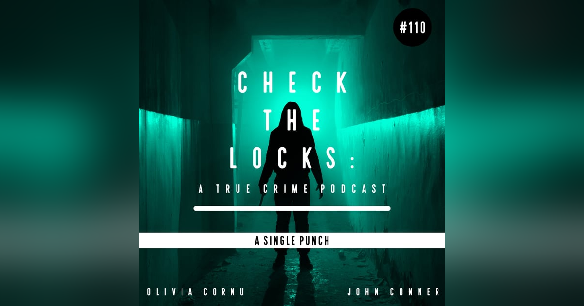 A Single Punch A Single Punch