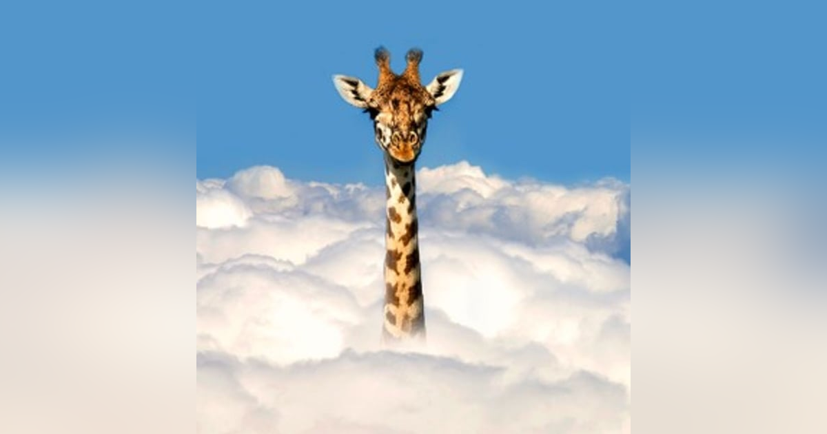 When Direction is more important than Speed - THAT'S LEADERVISION When Direction is more important than Speed - THAT'S LEADERVISION