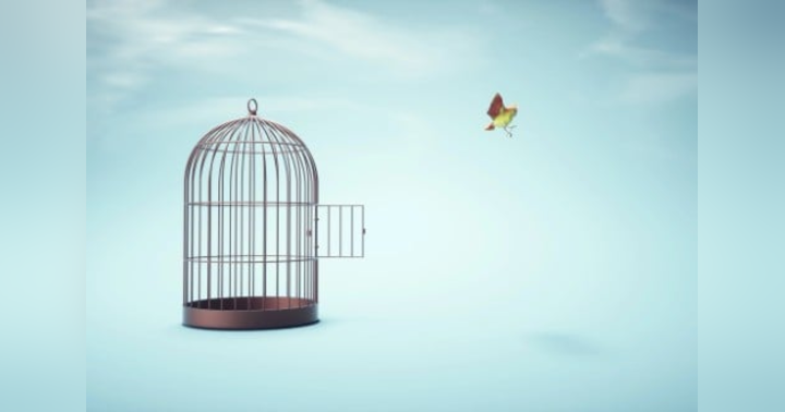 image for Unplug. Unlearn. Unchain. AI Entrepreneur Joshua Hale’s Proven Path To Freedom From Systems And Stress