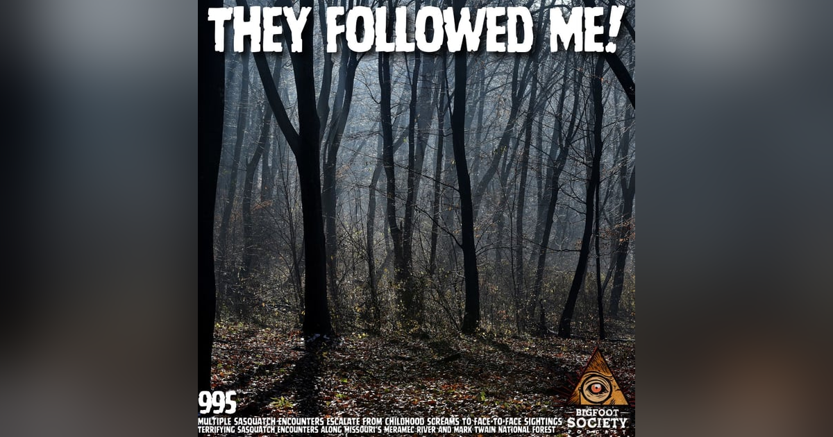 Missouri Woods Encounter Shattered Everything I Thought I Knew About Bigfoot | Archives Missouri Woods Encounter Shattered Everything I Thought I Knew About Bigfoot | Archives
