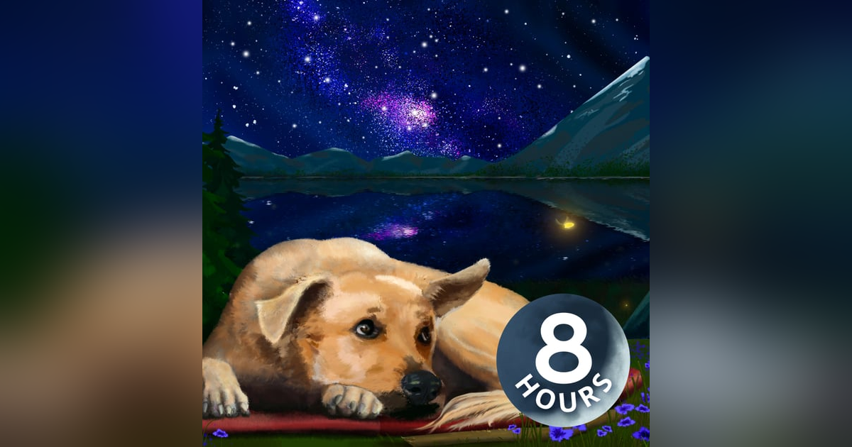 White Noise for Dogs | Ease Separation Anxiety 8 Hours White Noise for Dogs | Ease Separation Anxiety 8 Hours