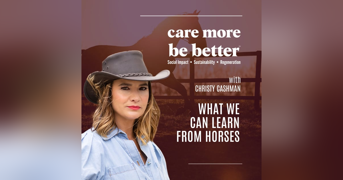 What We Can Learn From Horses With Christy Cashman What We Can Learn From Horses With Christy Cashman