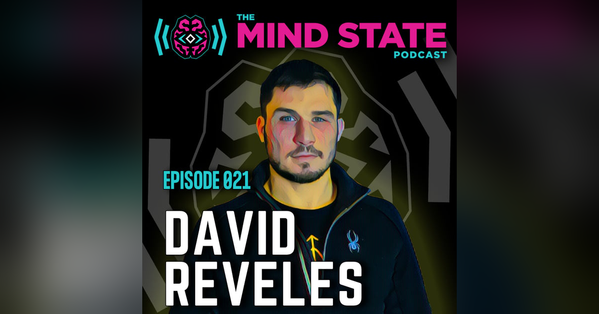 021 - David Reveles on Martial Arts, Mental Health, Wellness, Meditation, and More 021 - David Reveles on Martial Arts, Mental Health, Wellness, Meditation, and More