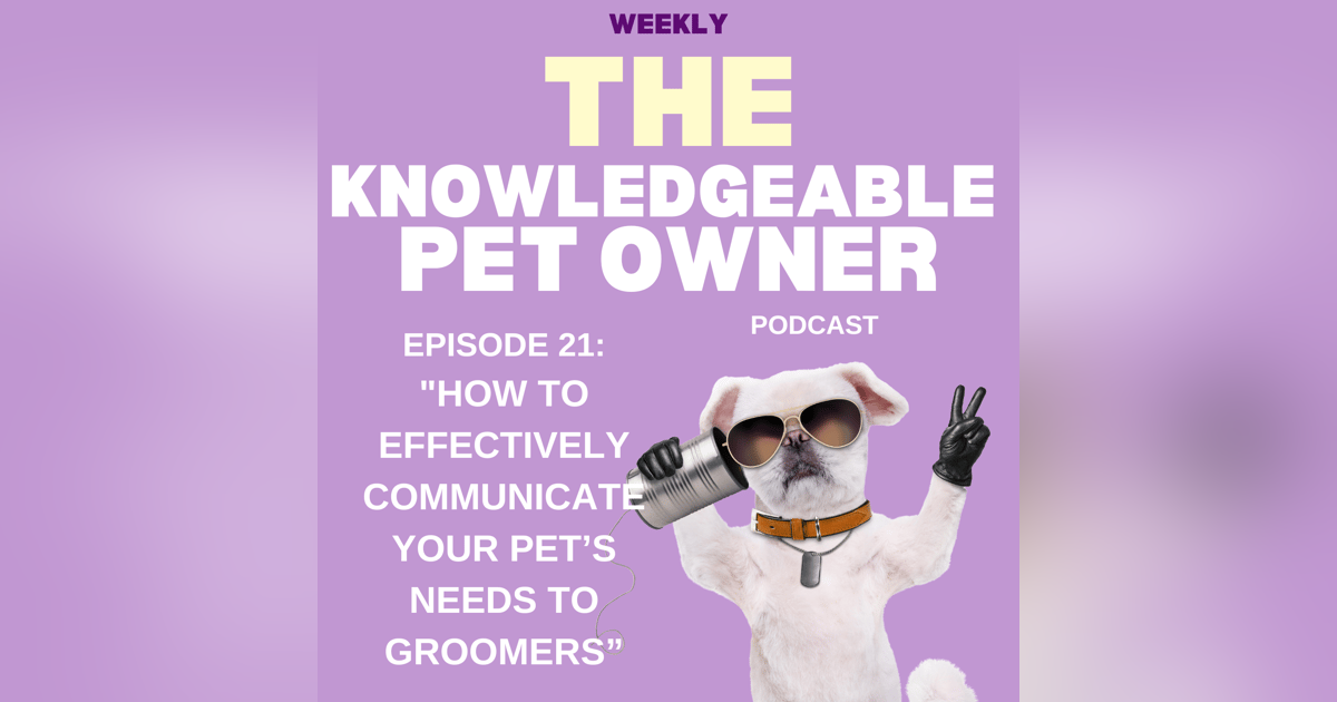 How to Effectively Communicate Your Pet’s Needs to Groomers How to Effectively Communicate Your Pet’s Needs to Groomers