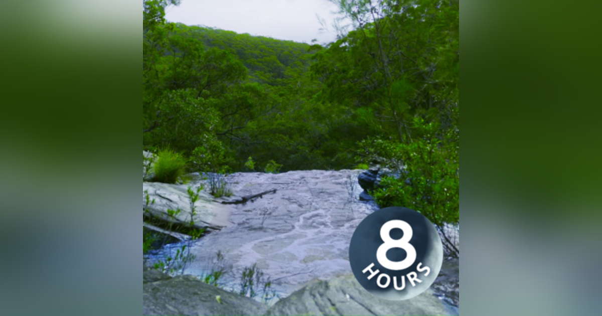 Australian Water White Noise to Study & Concentrate | River in Ancient Forest 8 Hours Australian Water White Noise to Study & Concentrate | River in Ancient Forest 8 Hours