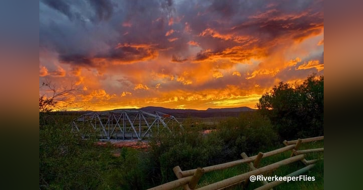 image for Hatch-Driven Dry Fly Fishing: Why Timing Is Everything in the American West